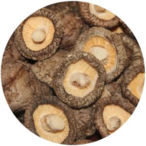 Best Brown Lions Mane Mushroom Extract Dried Shiitake Mushroom 1kg/bag wholesale