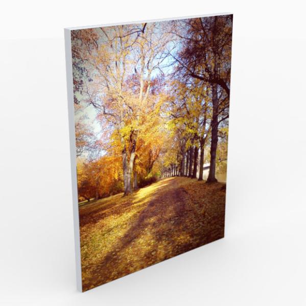 Cheap Textile Backlit SEG Fabric Frames Single Side Advertising Light Boxes Display for sale