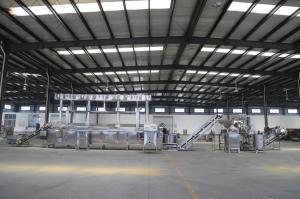 Industrial Deep Fryer Machine Electric PLC Continuous Fryer Machine