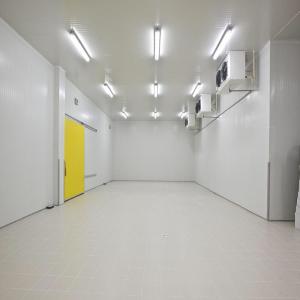 China New cold storage room for meat potato vegetable beaf cold room air cooler on sale
