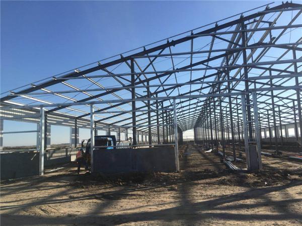 Cheap Q355B Steel Structure Building Prefabricated Milk Processing Plant for sale