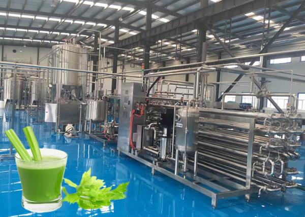 Cheap High Efficiency Celery Vegetable Processing Equipment Programmable Control for sale