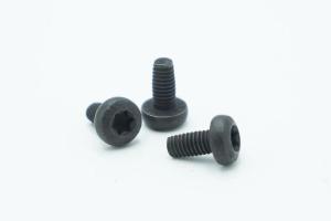China Torx Socket Head Screw Stainless Steel Machine Screws Anti-Theft Screws on sale