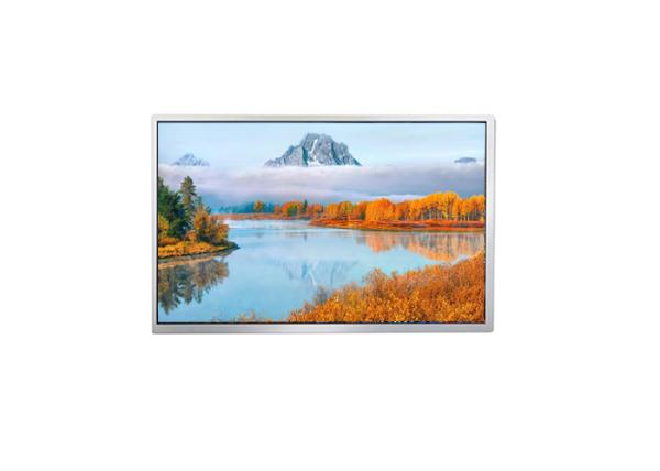 Cheap 1280X800 Standard IPS TFT LCD Display Panel LVDS 10.1 Inch ISO9001 for sale