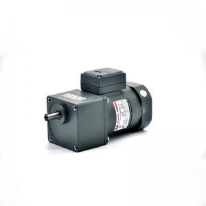 Single Phase 50Hz Compact Geared Motor Low RPM Electric Motor 110V