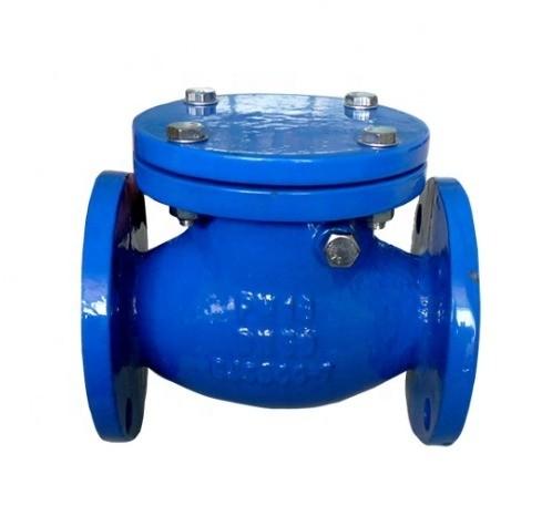 Cheap Y Type DN200 Flange End Swing Check Valve PN16 for Customized OBM Customization Support for sale