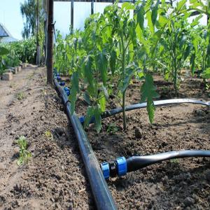 Best Greenhouse Drip Irrigation System / Overhead Sprinkler System For Greenhouse wholesale