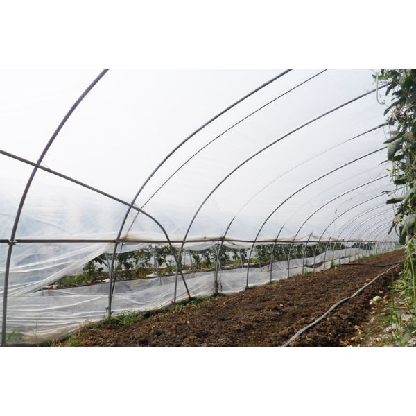 4m Single Tunnel Greenhouse