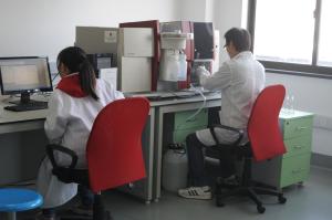 Best System Development Laboratory Testing Services Custom Requirements wholesale