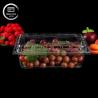 Buy cheap Transparent PET Clamshell Fruit Containers Disposable Plastic Boxes with Lids from wholesalers