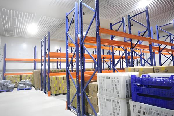 Cheap Microcomputer Controlled Frozen Cold Storage For Food Preservation for sale