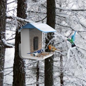 China 135 Degrees Smart Bird Feeder Camera AI Recognizes With Battery Power Source on sale