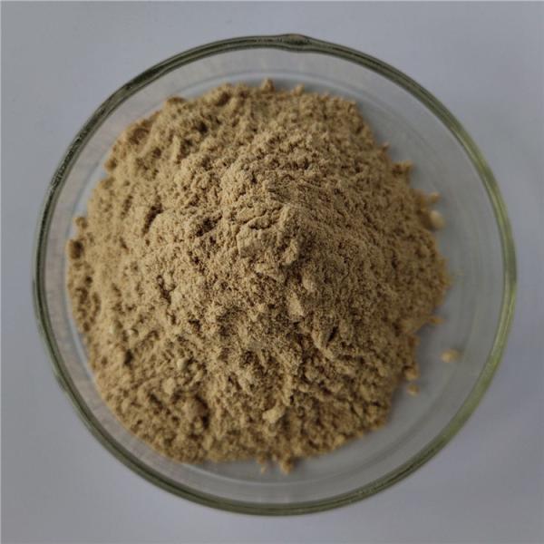 Cheap Medicine Grade antioxidants softgel capsules propolis extract for sale