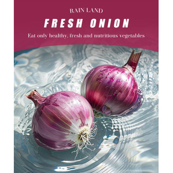 New Crop Rainland Organic Red Onion 3-5 cm Size 100% Pure Natural 10kg/bag Bulk at Best Price