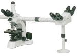 Binocular Multi Viewing Microscope EW10×/ 20 With Halogen Lamp