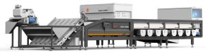 Best Automatic Dates Sorting Machine 8 Channel 7KW Electric Drive For Jujubes wholesale