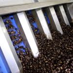 6 - 12 Channels Chestnuts Intelligent Sorting Machine 360° Rotational Scanning