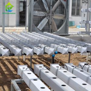Best Vertical Soilless Gardening Systems Soilless Hydroponic Growing Equipment wholesale