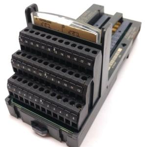 GE  IC200MDL632 2/24 VDC Output, 0.5 Amp, Negative Logic (16 Points)  Positive Logic