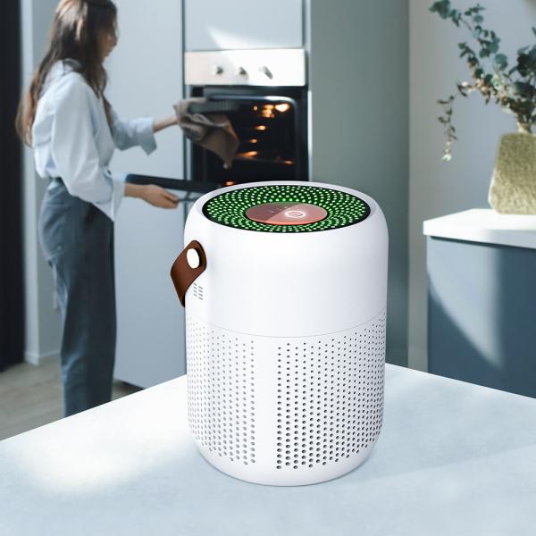 Cheap Portable Household Air Purifier for Room Cleaning for sale