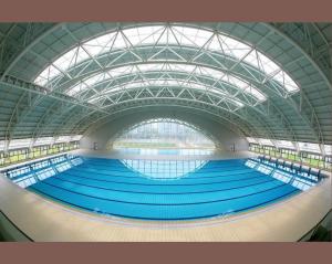 Best Steel Space Frame For Swimming Pool Ceiling Structures Durable And Elegant Solutions wholesale