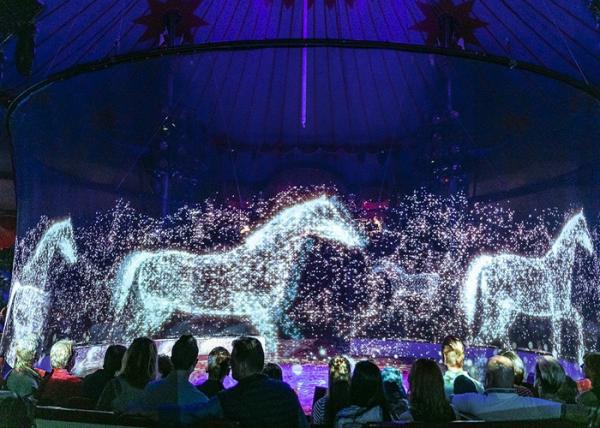 Cheap 360 Degree 3D Holographic Effect Projection Screen Holographic Screen Projection Net Hologram Mesh Screen for sale