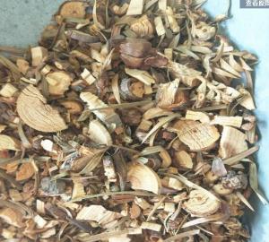 Best Chinese Fir Wood or twig Cunninghamia lanceolata Lamb Hook herbal medicine Shan mu wholesale
