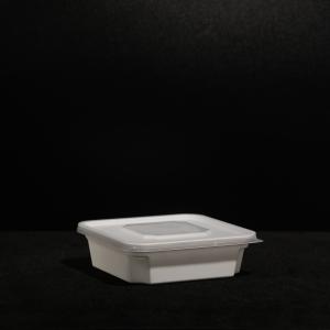 Best Customized Disposable PP Lunch Box with Snap On Lid For Cold and Hot Food Outdoor wholesale