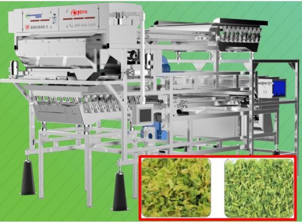 Cheap 2.0T/H Vegetable Sorting Machine Precise Target Positioning 5400 pixel For Cabbage for sale