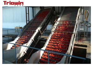 Fully Automatic Tomato Paste Processing Line Tomato Scraper Elevator Standup Pouch