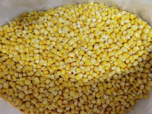Iqf 24 Months Frozen Sweet Corn Kernels