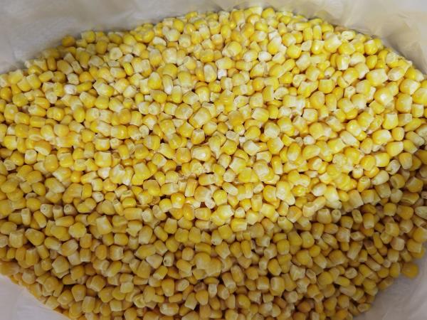 Cheap Iqf 24 Months Frozen Sweet Corn Kernels for sale