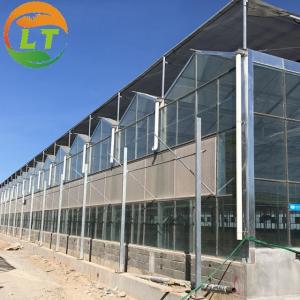 China Multi-span Agricultural Glass Greenhouse with Film Covering Width 8m or Customizable on sale