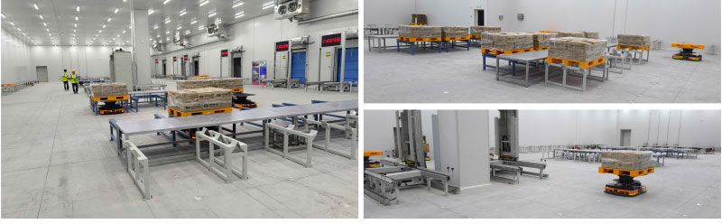 Cold Storage Warehouse ASRS