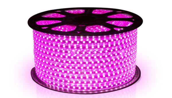 Cheap Waterproof 220V Input Directly 50m Coloured LED Strip Lights for sale