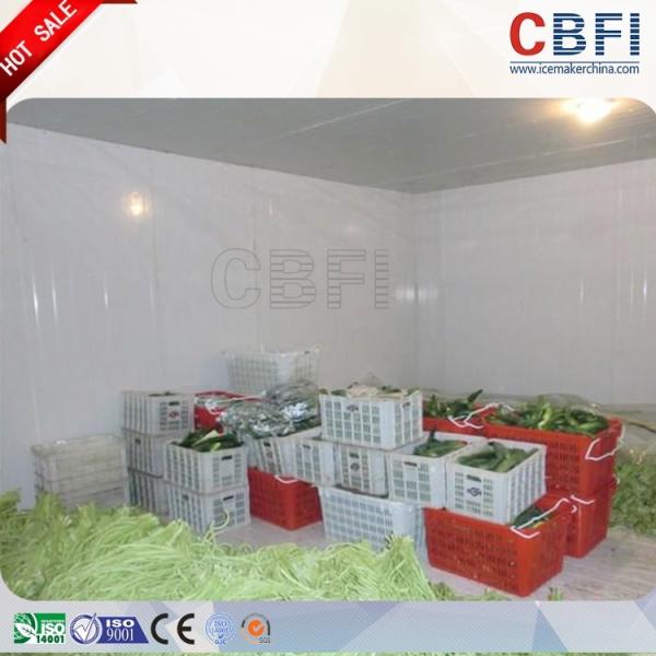 Cheap Integrated R404a Cold Storage Room , Low Temperature Cold Room Fresh Keeping for sale
