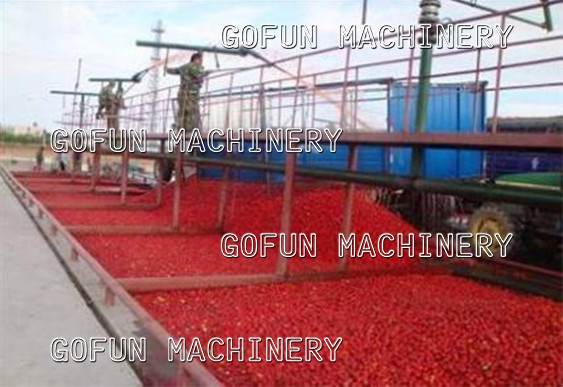 Food Grade Complete Tomato Paste Making Machine 1500t/D