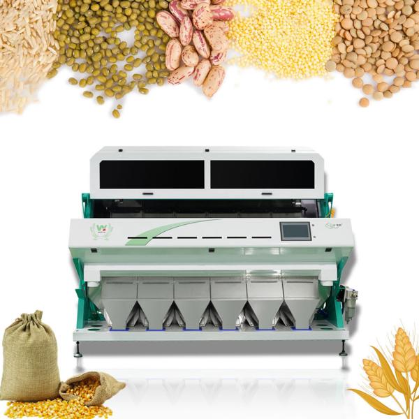 Cheap RGB CCD 6 Chutes Soybean Color Sorting Machine Soya Bean Color Sorter 99.90% Accuracy for sale