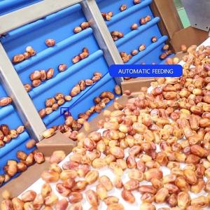 Best External Defect Detection 1.4 Tons per Hour 6-Lane Palm Dates Sorting Machine wholesale