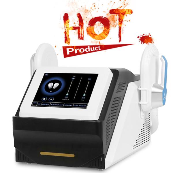 Cheap Portable Touch Screen Em Body Sculpting Machine For Weight Loss for sale