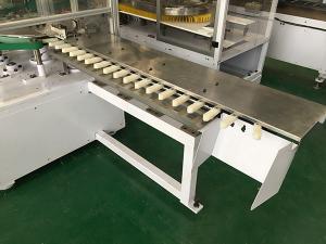 Automatic Servo drove Counting machine for health care with tailored molds