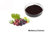 Best Natural Mulberry Extract Powder wholesale