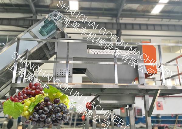 Cheap 20 T/H Stable Grape Juice Processing Line Extractor Vacuum Pressing System for sale