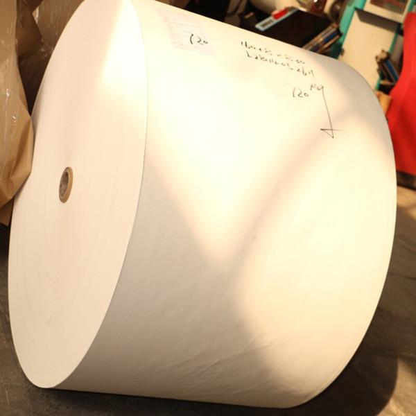 paper roll with flexo pinting for making cup,single wall pe coated paper for