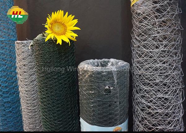Cheap 1.5 Inches Mesh Hexagonal Wire Netting 20 GA For Pet Pens for sale