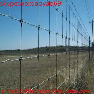 Best grassland fence wire mesh/hot dipped galvanized Cattle Fence/Filed Fence/Grassland Wire Mesh Cattle Fence Grassland Fenc wholesale
