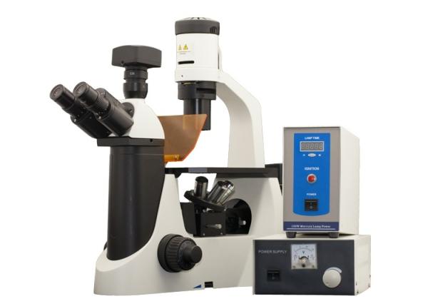 Cheap LED Trinocular Inverted Fluorescence Microscope with CCD color camera for sale