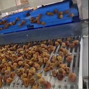 Best AI Powered Date Sorting Machine Deep Learning Technology 8 Lanes+8 Outlets , 2.4-2.6T/H,360° Rotating Scanning wholesale