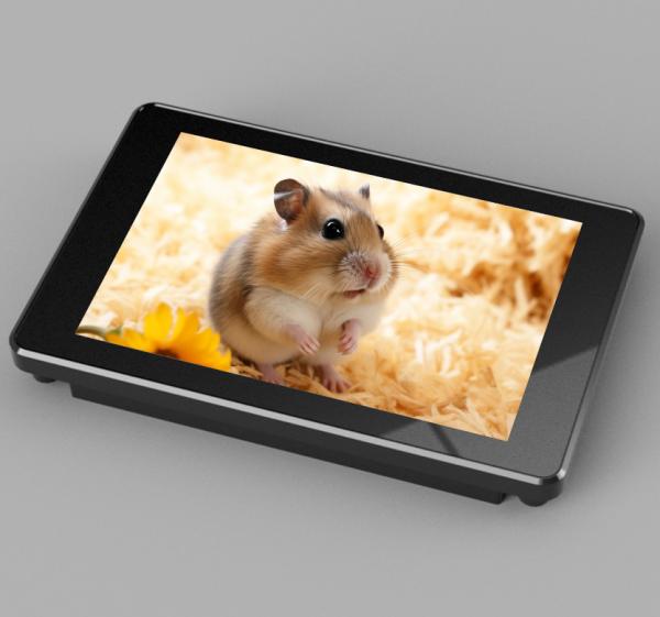Cheap 73.4*49.0 mm Effective Display Area LCD Display Screen with RGB 65K Color for sale