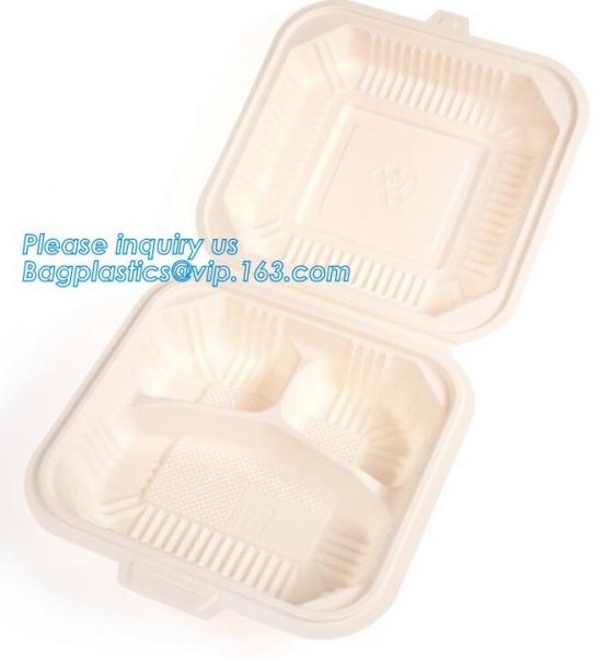 transparent pp bento box,lunch box plastic disposable compartment food containers,food,lunch,BBQ,noodles,salad,corn kern
